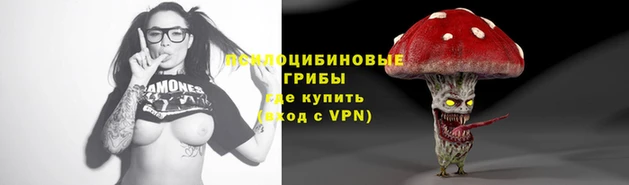 MDMA Новодвинск