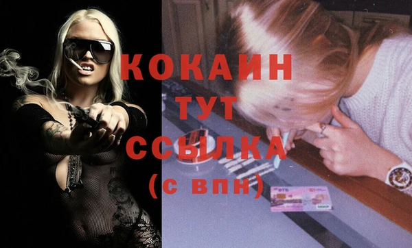 MDMA Новодвинск