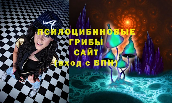 шишки Бутурлиновка