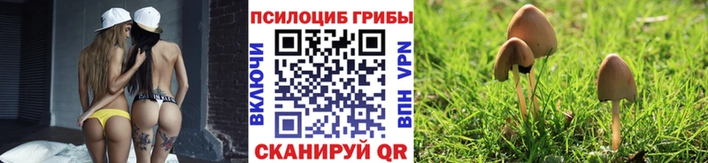 Галлюциногенные грибы ЛСД  купить   Советский 