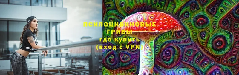 купить закладку  Советский  Галлюциногенные грибы мухоморы 