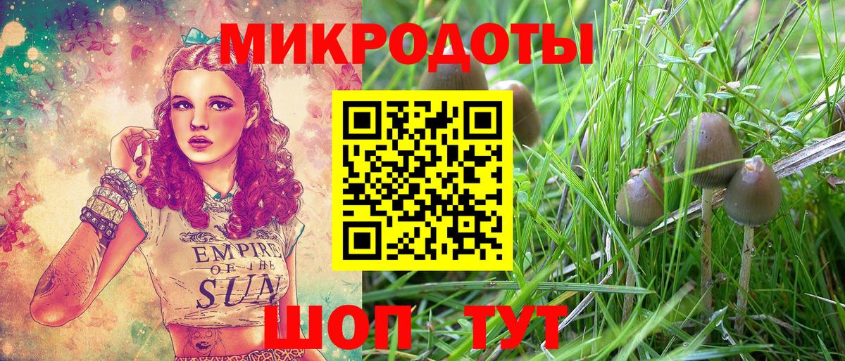Галлюциногенные грибы мухоморы Советский