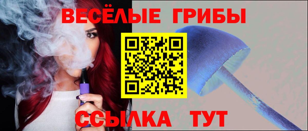 где продают наркотики  Псилоцибиновые грибы мицелий  Вход с VPN  Советский  Псилоцибиновые грибы ЛСД 